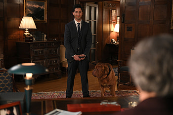 Josh Peck, , Movies HD wallpaper