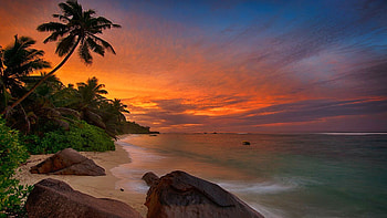 Sunset at La Digue Island, Seychelles, beach, sea, palm tree, landscape, clouds, colors, sky, rocks HD wallpaper