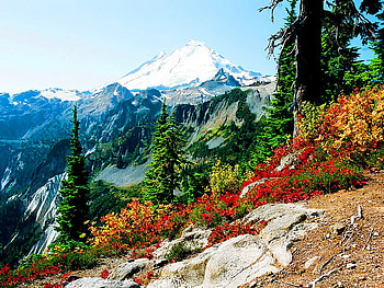 Mountain view, winter, snowy, fall, clouds, view, sky, flowers, mountain HD wallpaper