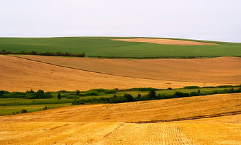 Wonderful our planet, fields, nature, gree, yellow HD wallpaper