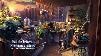 Sable Maze 7 - Nightmare Shadows10, hidden object, fun, video games, cool, puzzle HD wallpaper