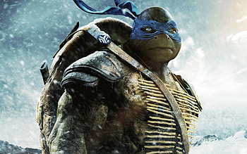 Mutant Ninja Turtles, Leo in chaos, Wide , Animated heroes HD wallpaper