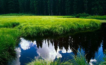 digital technology , technology, digital HD wallpaper