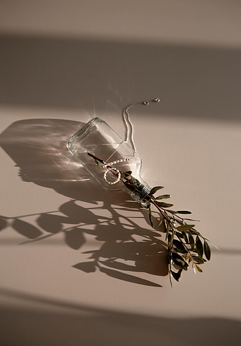 Decorations, Miscellanea, Miscellaneous, Branch, Bottle, Bracelet, Necklace HD phone wallpaper