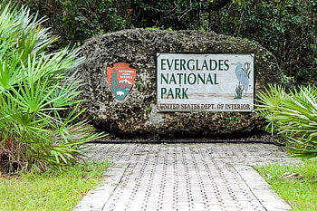 Everglades National Park, Florida's natural wonder, Franks travelbox, Stunning HD wallpaper