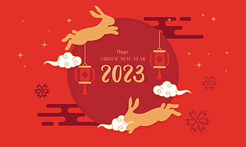 Year of the rabbit, holiday, Chinese New Year HD wallpaper