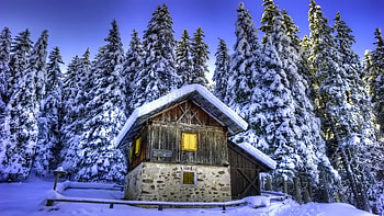 House in snowy forest, trees, cottage, sky, snow, landscape HD wallpaper