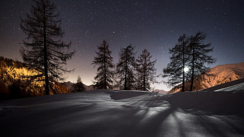 Snow , Winter wonderland, Frosty scenery, Cold season beauty HD wallpaper