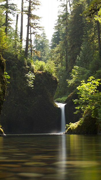 Rainforest beauty, Ultra , Dual monitor , background HD phone wallpaper