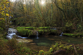Mossy Forest Stream Falls, Waterfalls, Rocks, Trees, Rivers, Nature, Forests, Streams, Moss HD wallpaper
