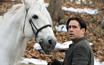 Colin Farrell, , backgrounds HD wallpaper