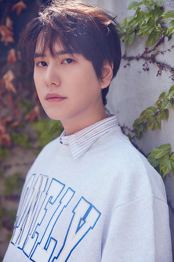 Kyuhyun, Music industry, Super Junior member, Kpop board HD phone wallpaper