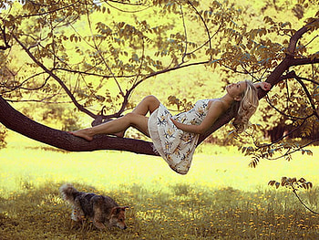 Summer Dream, dog, dreamer, sunny, girl, woman, summer, light, bright, young, yellow, dreaming, nature, sun, forest, friends HD wallpaper
