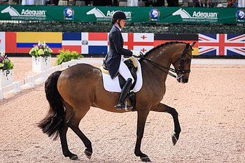 Olivia LaGoy-Weltz, Dressage HD wallpaper