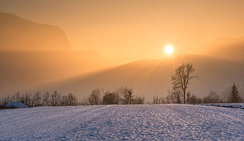 A serene winter sunrise with sunlight casting over snowy fields and distant trees. HD wallpaper