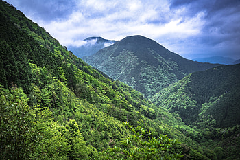 Landscape, Nature, Trees, Mountains, Clouds, Forest HD wallpaper