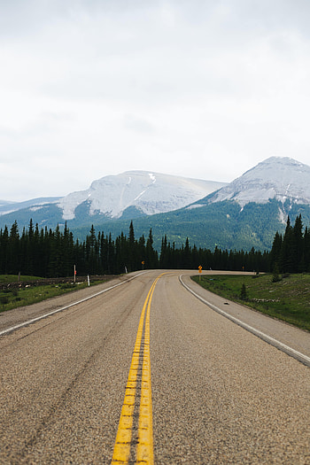 Nature, Trees, Mountains, Road, Markup, Fir, Spruce HD phone wallpaper