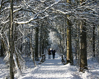 WINTER IN AUSTRIA, winter, mountains, snow, austria HD wallpaper