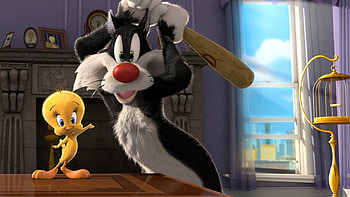 Sylvester the Cat, Looney Tunes, Charming , Endearing design HD wallpaper