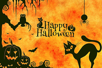Happpy Halloween, owls, pumpkins, black, yellow, cat, spooky, spiders, orange HD wallpaper
