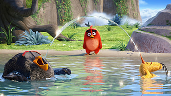 The Angry Birds Movie Latest, angry-birds, birds, movies, animated-movies, 2016-movies, the-angry-birds-movie HD wallpaper