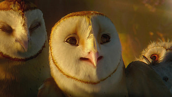 Legend of the Guardians, Inspirational quotes, GaHoole heroes, animated film HD wallpaper