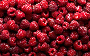 Raspberries, fruit, food, red HD wallpaper