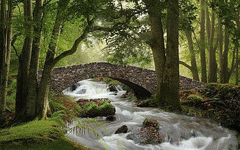 Forest Stream, Pyrenees, bridge, trees, forest, water, stream HD wallpaper