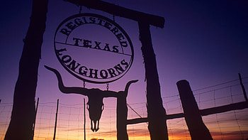 Texas backgrounds, Scenic views HD wallpaper