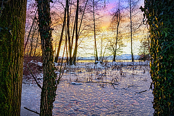 Winter, Nature, Trees, Sunset, Ice, Snow HD wallpaper