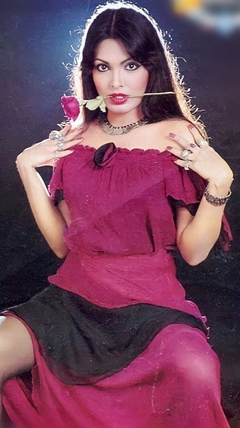 Zeenat Aman, bollywood actress, vintage HD phone wallpaper
