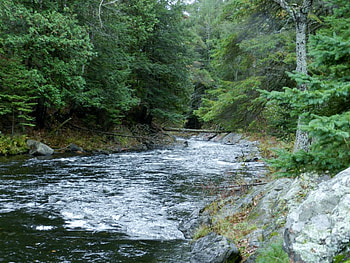 River With A Bend, graphy, Summer, Rocks, Trees, Nature, River HD wallpaper