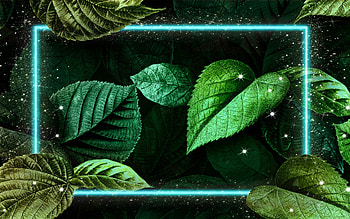 green neon frame, , creative, green leaves, natural frames, neon frames, artwork, ecology concepts HD wallpaper