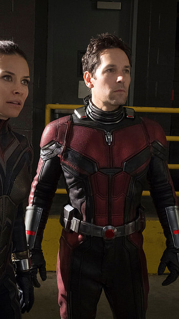 Ant-Man and the Wasp, Ant-Man versus Wasp, Epic showdown HD phone wallpaper