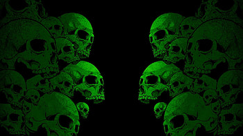 Skull - afari HD wallpaper