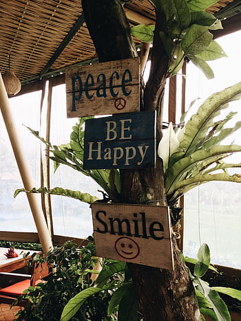 Wooden signs with motivational messages on a tree in an outdoor setting. HD phone wallpaper