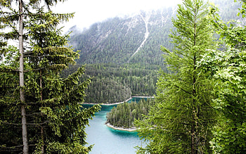 Nature, Rivers, Trees, Forest, Germany, Munich, Bavaria HD wallpaper