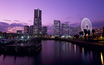 Landscape, Cities, Violet HD wallpaper