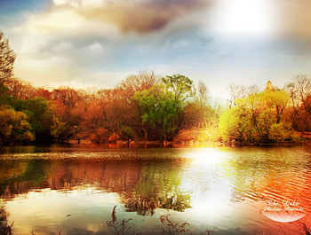 Nature dreams, nature, sun, lake, dream, tree HD wallpaper