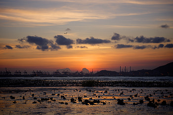 Nature, Twilight, Dark, Coast, Dusk, Port HD wallpaper
