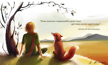 The Little Prince Quotes . HD wallpaper