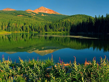 Green mountain reflection, summer, reflection, green, nature, lake, mountain HD wallpaper