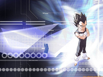 Vegita cooll, cooolll guy, coolll vegita HD wallpaper