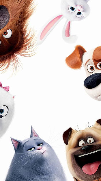 The Secret Life of Pets (2022) movie HD phone wallpaper