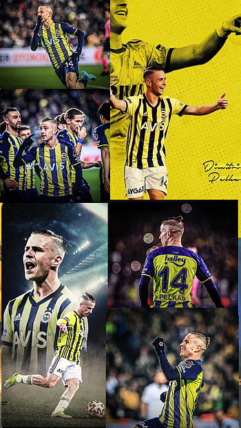 Fenerbahçe, -_fenerbahce, -_pelkas HD phone wallpaper