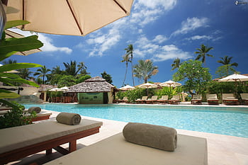 Experience ultimate relaxation at a sunlit tropical poolside resort featuring palm trees and blue skies. HD wallpaper