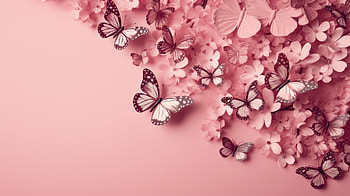 Pink Aesthetic Flowers And Butterflies, butterfly, pink aesthetic, aesthetic, artistic, flower HD wallpaper