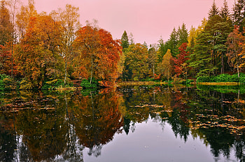 Nature, Autumn, Lake, Reflection, Forest HD wallpaper