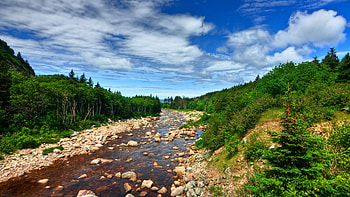 Forest Stream, hills, morning, grass, , landscapes, light, clouds, nature, mountains, cloud HD wallpaper