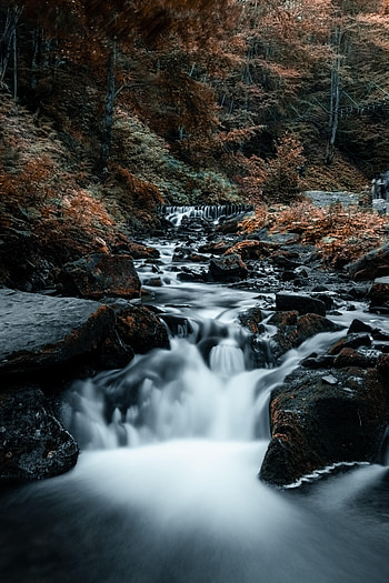 Nature, Trees, Stones, Rocks, Waterfall, Flow, Stream HD phone wallpaper